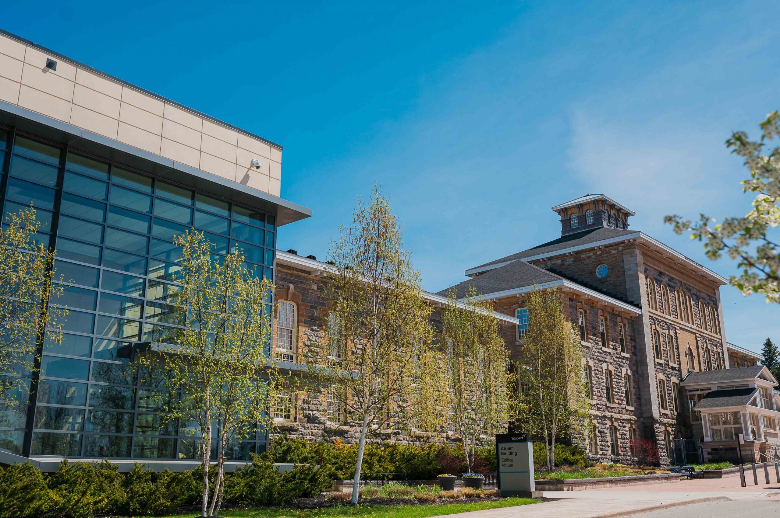 Exterior of the Waypoint Centre for Mental Health Care showing brick facade, windows, and trees.